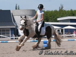 _DSC9376-729